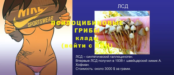 a pvp Инсар