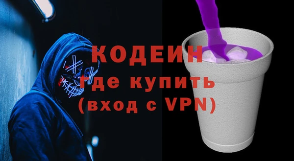 метадон Инта