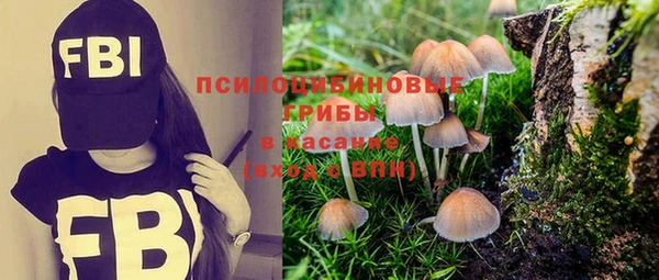 a pvp Инсар