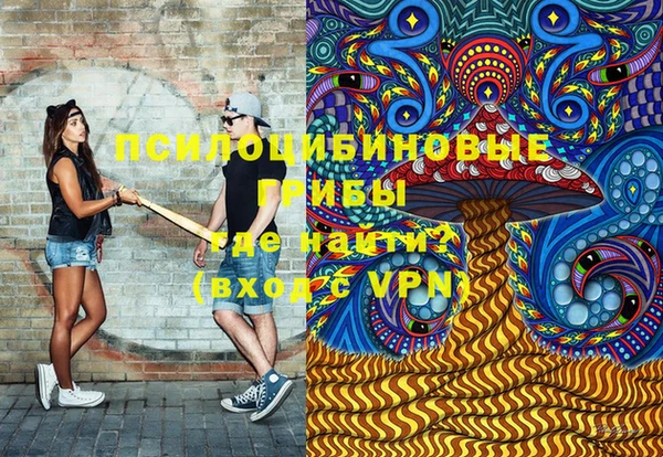 a pvp Инсар