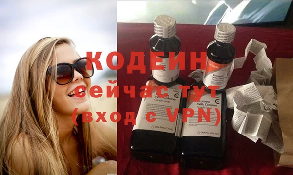 метадон Инта