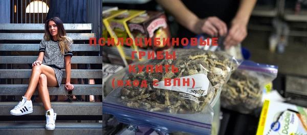 метадон Инта