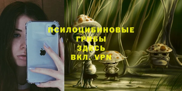 метадон Инта