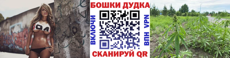 Купить где  Киренск  Конопля Amnesia 